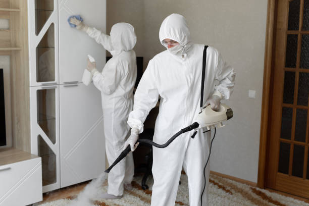 Best Residential Mold Removal  in Point Mackenzie, AK